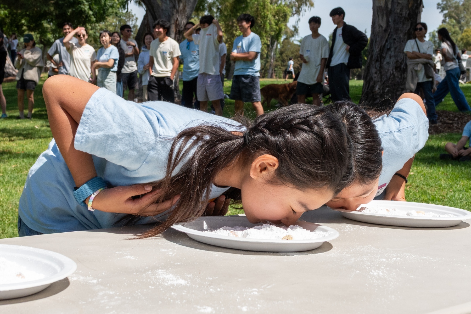 260816_TVPC-49