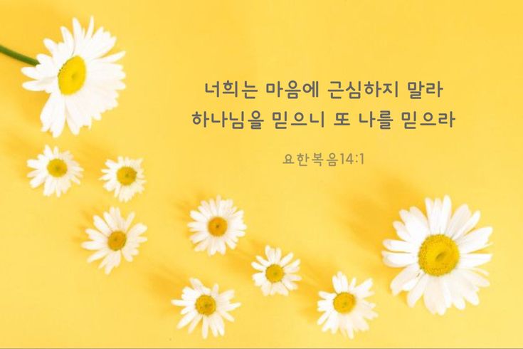 너희는 마음에 근심하지 말라